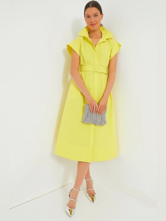 Tuckernuck Dresses & Skirts - Tuckernuck Chloe Dress – Citron Yellow – Size XL